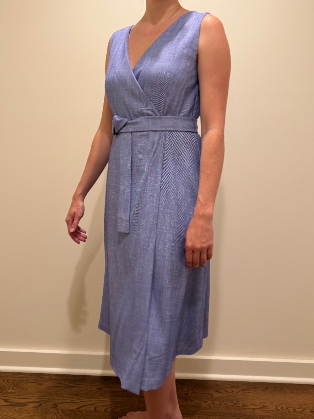 Ann Taylor Blue Dress (Size 10)